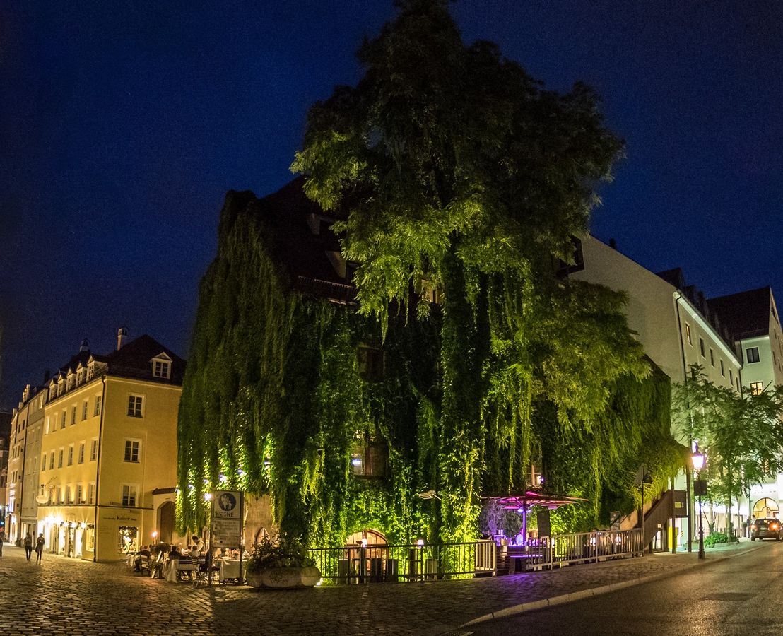 The outside bar Josefa Karree from the outside at night.